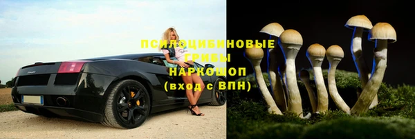 тгк Абдулино
