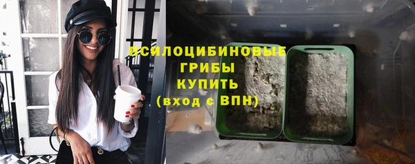 а пвп мука Алзамай