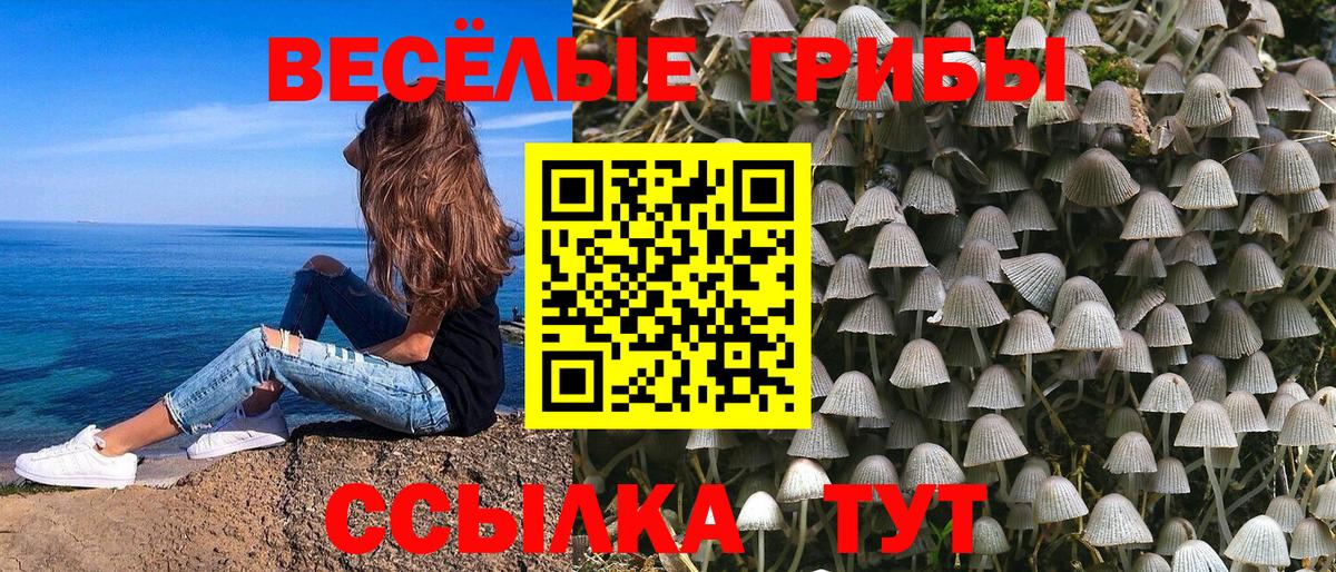 Псилоцибиновые грибы Psilocybe Красноуфимск