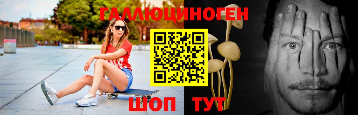Псилоцибиновые грибы прущие грибы  что такое   Красноуфимск  Вход с VPN 